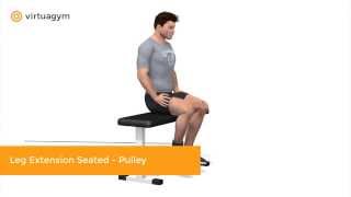 Leg Extension Seated - Pulley