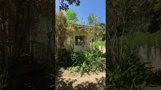 Front Yard Of Our Simple House In The Philippines 🏡