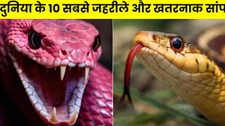 इनका काटा पानी भी नही मांगता | Snake | Highfive picks