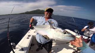 Angler Marcello Bo Fighting a Nice Vanuatu Dogtooth on Jig!