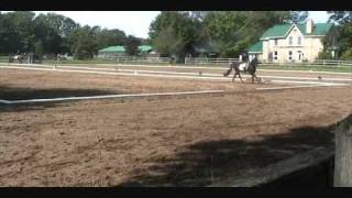 My first Preliminary level dressage test.wmv