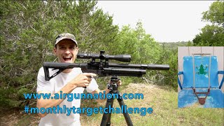 Airgun Target Shooting Challenge - July