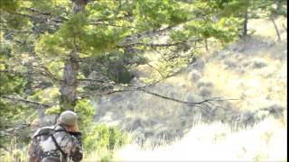 2014 Montana Elk Bow Hunt