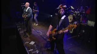 Frank Black - You Ain't Me (live)