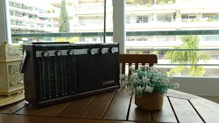 Demasiado ruido nos impide ver el bosque - Eurorack Telefunken Radio