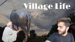 Village LifeStyle Vlog - Village Life Vlog - Daily Vlog - @nallayboys