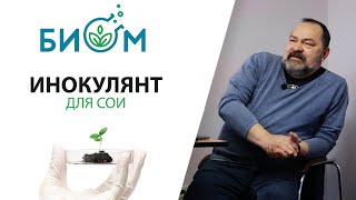 Лекция БИОМ | Инокулянт для сои