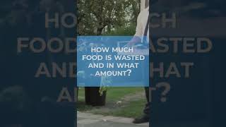 How much amount of Food is Wasted and in What Amount