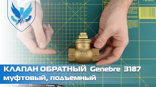 ⛲️🔷 Клапан обратный муфтовый Genebre 3187. 🎥 Подъемный клапан Ду 15 | АРМАШОП