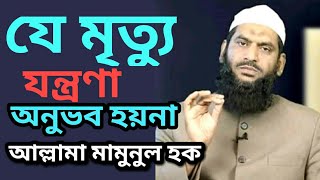 আল্লামা মামুনুল হক | কোন ধরনের মৃত্যুর যন্ত্রণা অনুভব হয়না | Alla Mamunul Hoque