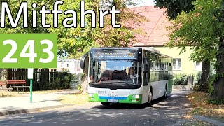 Mitfahrt | MAN Lion's City A21 | Linie 243 | Kołbaskowo - Plac Kościuszki