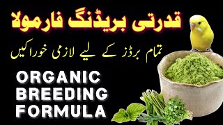 breeding formula for birds | fast breeding formula