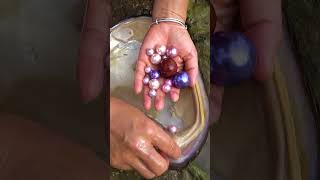 Beautiful women harvest many pearls in a short period of time