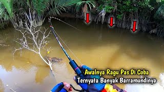 TERLALU DI SEPELEHKAN..!! TERNYATA SUNGAI SEKECIL INI BANYAK BARRAMUNDINYA