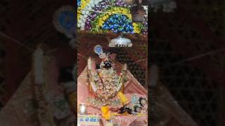 Banke Bihari Phool Bangla Darshan Vrindavan