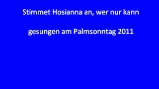 Stimmet Hosianna an, wer nur kann