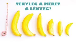 A méret a lényeg? | hormonmentes