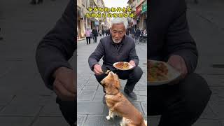 Grandpa's wife has passed away for many years, and now only the dog has stayed with him for a long