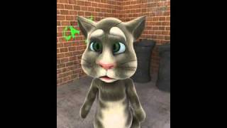 Talking Tom gets knocked out