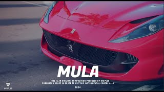 "MULA" Dancehall Riddim Instrumental 2024