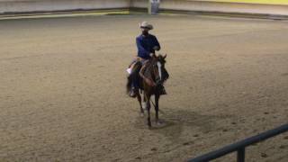 AMATEUR RANCH RIDING. IAF 6843