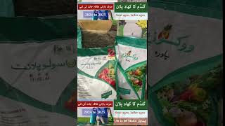 Fertilizer plan of wheat sowing for Barani Areas | Best Production technology for wheat crop arid