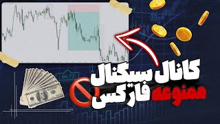 سیگنال روم ممنوعه فارکس | سیگنال دهنده ات سیگنالاشو از اینجا میگیره