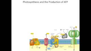 Lecture 19C: Tying Up Loose Ends