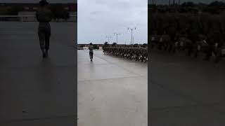 Drill Marching #shortsvideo #shortsfeed #shorts #usmc #drill #marine #military #motivation