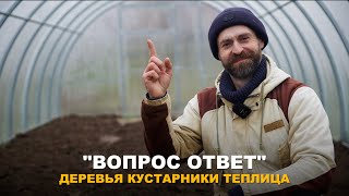 РУБРИКА "ВОПРОС-ОТВЕТ": Отвечаю на вопросы из комментариев о саде, теплице, кустарниках и деревьях.