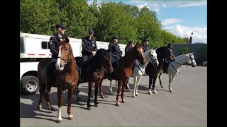 В Парк Яуза вышел конный патруль