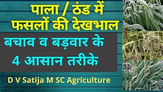 Pala-thand se fasal ka bachav | Save crop from frost | frost injury |  keep crops safe from pala |