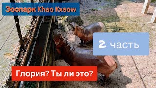 Зоопарк Khao Kheow | похож к бегемотам | 2 часть