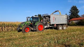 Maisernte 2019 | Mais häckseln | SOUND!!! | 3x Fendt Power | Claas Jaguar 850 | Fliegl,Reisch,Claas