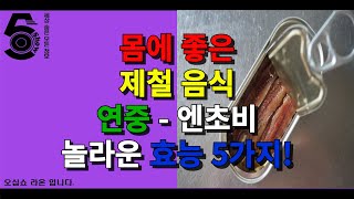 몸에 좋은 제철 음식 연중 - 엔초비 놀라운 효능 5가지!