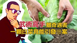 真實案件解說：六旬武術高手自以為天下無敵，怎料下場悲慘，大白天死在殺豬刀下 | 重案講說人