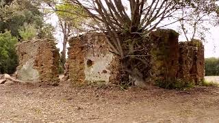 Igreja dos Jesuitas,Ruinas da Igreja Jesuitas,de Pedras, Jesuitas,Borin,Visita as Ruinas.  Batovi