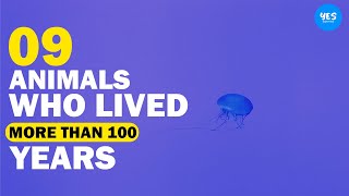 9 Animals Who Lived More Than 100 years | Animalism