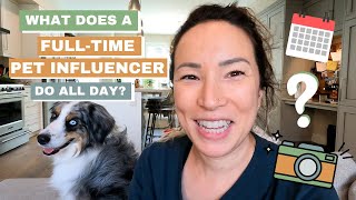 Realistic Day in the Life of a Stay-at-Home Dog Mom /  Full-Time Pet Influencer