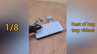 Best of bug trap videos Mouse , cockroach  from JAINUL HAQ