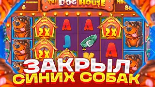 В ДОРОГОЙ БОНУСКЕ ПОЛЯНА СИНИХ СОБАК ЗАНОСИЩЕ НА ОГРОМНУЮ КОТЛЕТУ DOG HOUSE MEGAWAYS