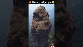 Dimag Hil Gaya 😱 😳#nature  #shortsfeed #shorts #youtubeshorts #trendingshorts #viralshorts