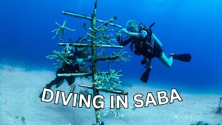 Scuba Diving in Saba, the Unspoiled Queen!