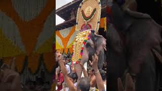 thrissur pooram 2023