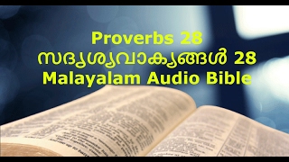 Proverbs 28 - Malayalam Audio (സദൃശ്യവാക്യങ്ങൾ)