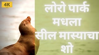 लोरो पार्क मधला सील मास्याचा शो | टेनेरीफ | स्पेन | युरोप | 4K | DJI Pocket 2