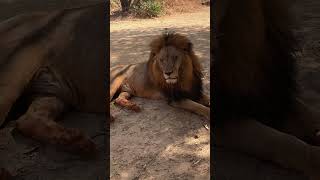 Découvrez le Sénégal au départ de Saly , Somone