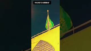 ALAM E MOLA ALI AS NAJAF E ASHRAF SHORT #shortvideos