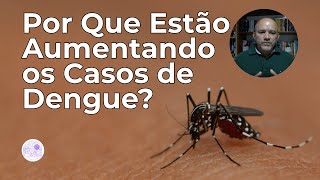 Por que Estão Aumentando os Casos de Dengue?