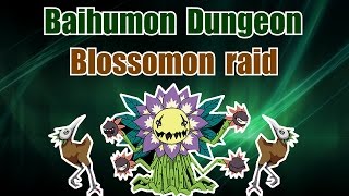 BDG - Blossomon raid (guide)